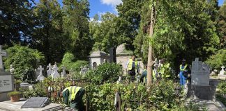 Bellu, Ghencea și alte 13 cimitire din București, curățate zilnic de ADP. Anunț important pentru concesionarii locurilor de veci