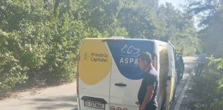 ASPA Bragadiru prezintă cazurile unor câini ajunși în adăpost cu răni grave. Animalele au nevoie de tratament și monitorizare