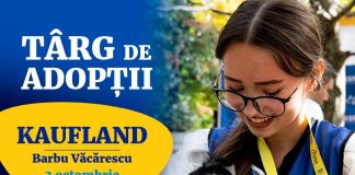 Târg de adopții ASPA, pe 3 octombrie, la Kaufland Barbu Văcărescu. Câini și pisici își caută familii