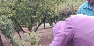 70 de bănci din Parcul Cișmigiu au fost recondiționate și sunt montate din nou în parc