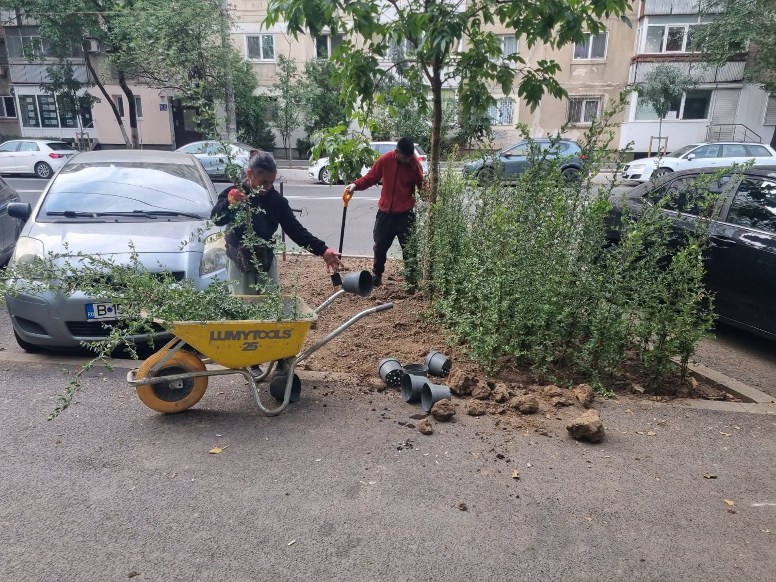 FOTO/ Sectorul 6 extinde proiectul „oraș-parc”. 8.000 de metri pătrați sunt transformați în spațiu verde 1 825292236 1068064299439789 7692969406188363885 n