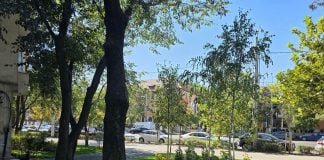 Calea Griviței 222-232, transformată în zonă verde. 5.500 de metri pătrați au fost reamenajați