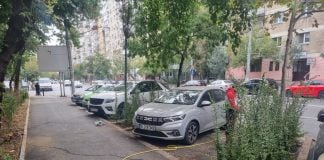 FOTO/ Sectorul 6 extinde proiectul „oraș-parc”. 8.000 de metri pătrați sunt transformați în spațiu verde