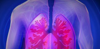 upper body, lung, copd, disease, doctor, finding, medicine, health check, health, examination, heal, pension, ill, investigate, therapy, ultrasound, healthy, lung, lung, lung, lung, lung, copd, copd