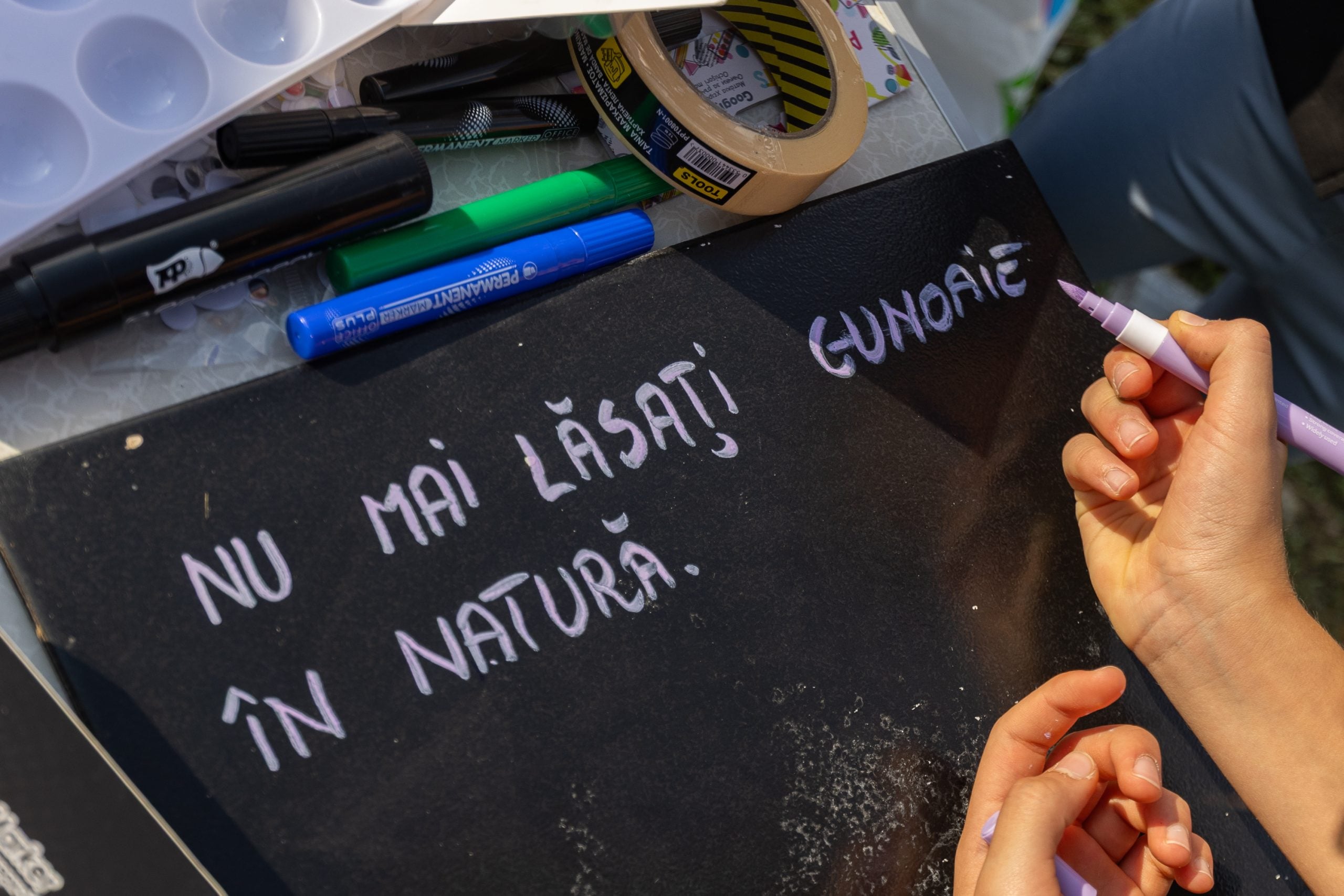 Peste 335.000 de voluntari au participat la Ziua de Curățenie Națională 2026 2 LDIR Cernica 19 sep 2026 5757 scaled