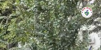Vlad Popescu Piedone, primarul Sectorului 5: Intervenție pe Strada Vânători, unde o clădire și zona din jurul acesteia au fost lăsate să se degradeze