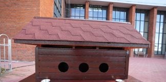 Sector 3: Primăria pune la dispoziția asociațiilor de proprietari căsuțe special amenajate pentru pisicile comunitare