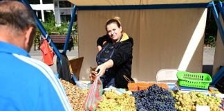 Piață volantă în Pajura, în acest weekend. Fructe și legume de sezon, brânzeturi și produse tradiționale