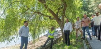 Randare: Fără 2 metri de beton la Herăstrău. Cum va fi amenajat malul lacului pentru a salva arborii
