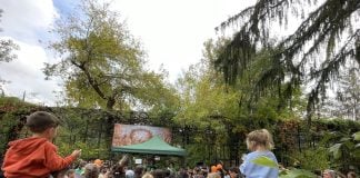 Ateliere pentru copii și familii, la Zoo București, pe 10 octombrie. Participarea la activități este gratuită
