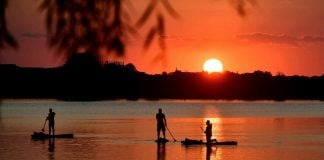 Caiac, paddleboarding și windsurf pe Lacul Morii. Insula a fost amenajată pentru sporturi nautice