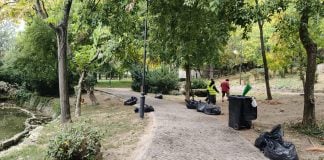 Curățenie zilnică în Grădina Cișmigiu. Băncile și aleile sunt spălate chiar și de două ori pe zi