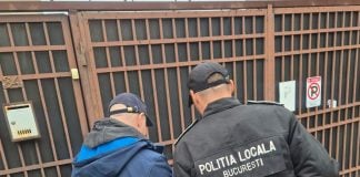 Proprietarii de câini din Sectorul 5, verificați de ASPA. Ce nereguli au fost descoperite