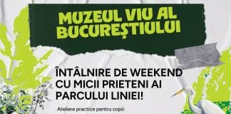 Ateliere pentru copii în Parcul Liniei din Sectorul 6: mini-grădini, căsuțe pentru păsări și hoteluri pentru insecte