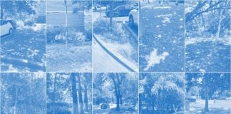 Primăria Sectorului 6 consultă locuitorii pentru amenajarea unor spații verzi și zone de relaxare. Chestionarul poate fi completat până pe 6 noiembrie