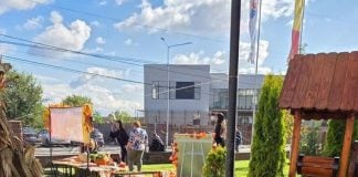 Ateliere creative și activități inspirate de toamnă pentru copii, la Cernica. Cum s-a desfășurat evenimentul „Visul unei Nopți de Toamnă în Ilfov”