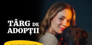 Târg de adopții pentru câini și pisici negre, de Halloween, în București. Unde pot fi întâlniți blănoșii