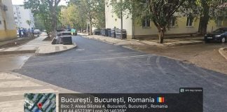 Gazon nou pe strada Avrig și lucrări de asfaltare pe alte două străzi din Sectorul 2