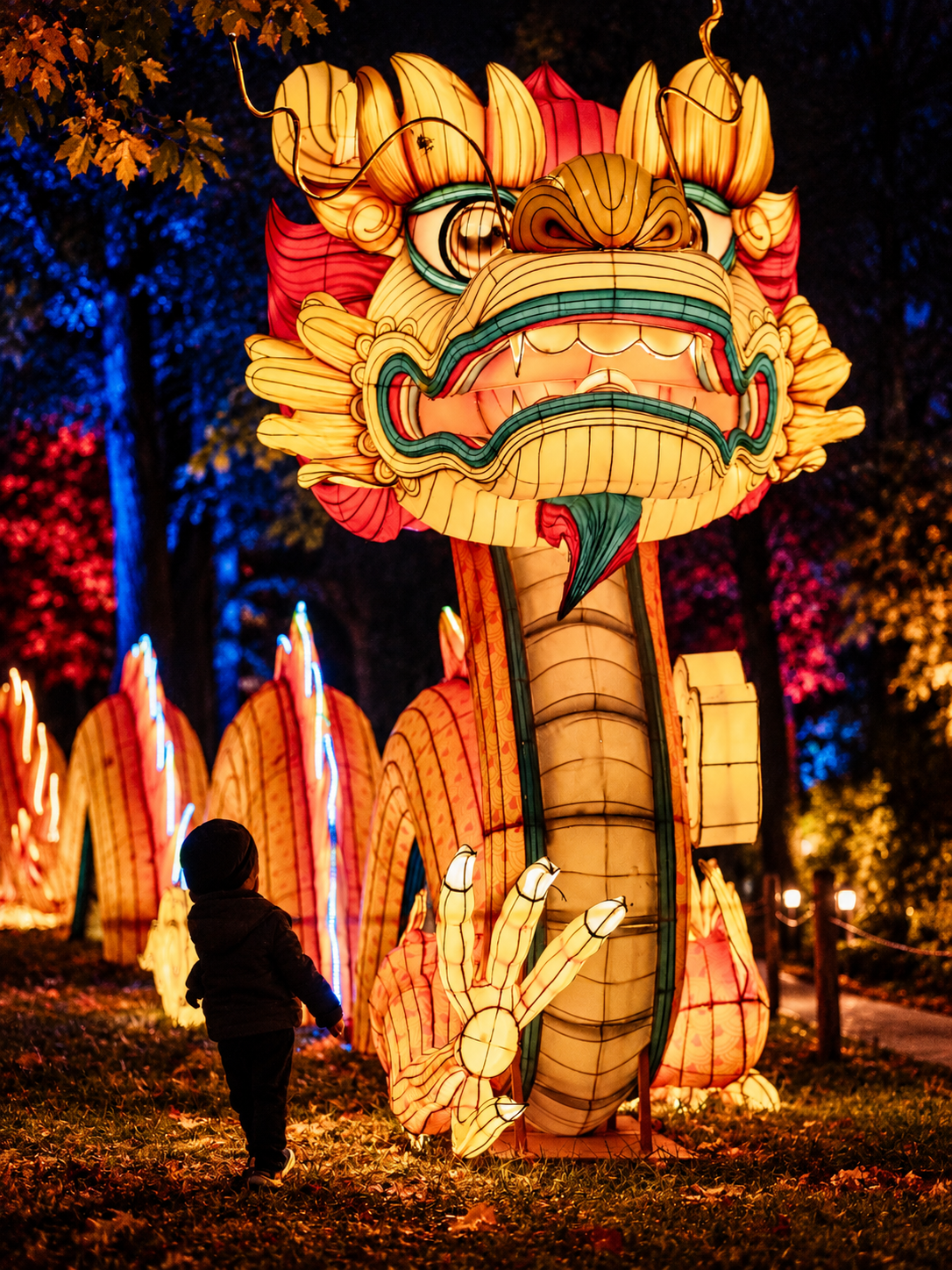 Lumina Park, vizitat de 15.000 de persoane în primele trei zile de la deschidere. Când poate fi văzut parcul de lumini din București 1 Child and Dragon Lantern Festival