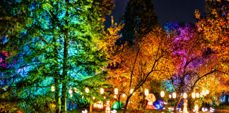 Lumina Park, vizitat de 15.000 de persoane în primele trei zile de la deschidere. Când poate fi văzut parcul de lumini din București