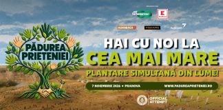 Vrei să faci parte dintr-un record mondial? Peste 2.500 de voluntari sunt așteptați la o acțiune de plantare de arbori în Prahova