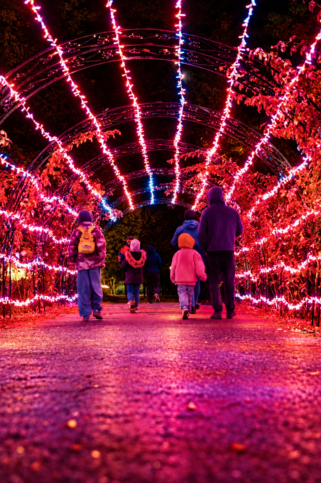 Lumina Park, vizitat de 15.000 de persoane în primele trei zile de la deschidere. Când poate fi văzut parcul de lumini din București 3 Neon Garden Light Tunnel