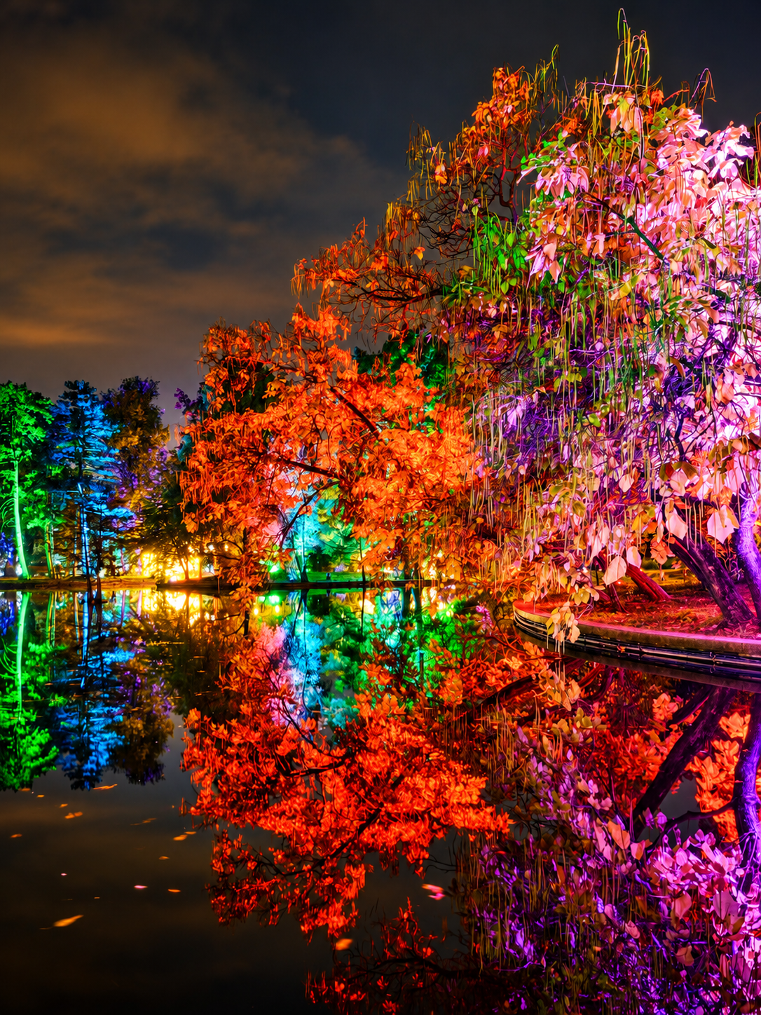 Lumina Park, vizitat de 15.000 de persoane în primele trei zile de la deschidere. Când poate fi văzut parcul de lumini din București 2 Rainbow Reflections in the Night Garden
