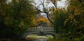 a bridge over a small river in a park